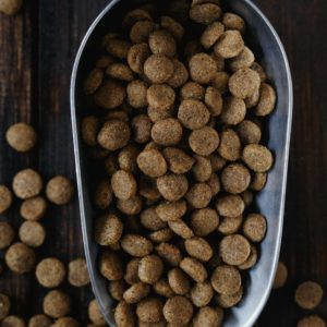 Senior Formula Dog Food - Pet Wants OC North, CA